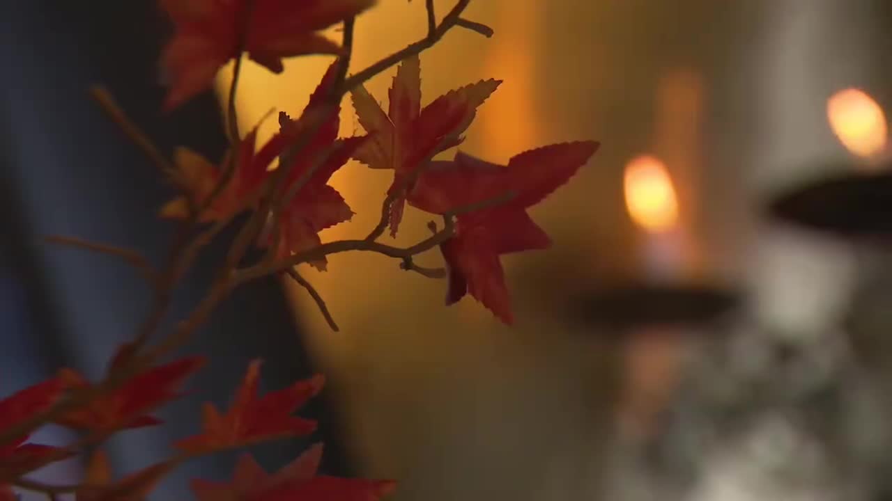 第三十二集（4）