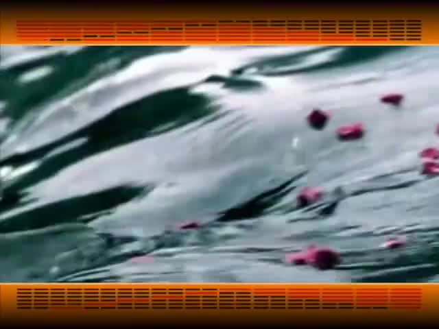 第125集_《易经的智慧》卦序53_渐卦_循序渐进