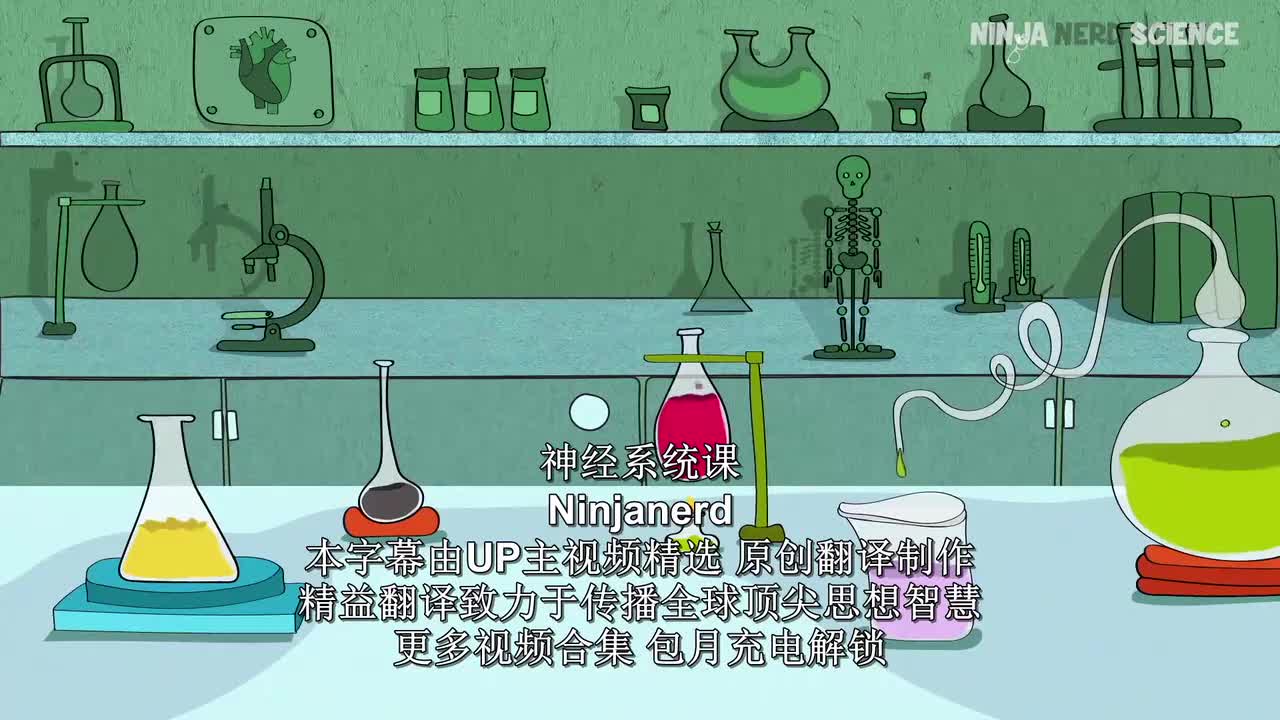 (53)Neurology Abducens Nerve Cranial Nerve VI w4D7ISERIXE_压制版