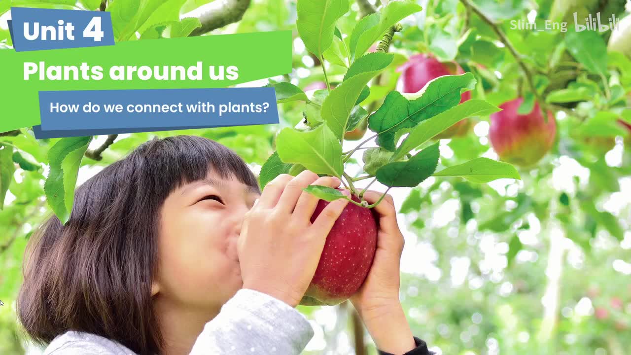 U4 P38 How do we connect with plants（动画）