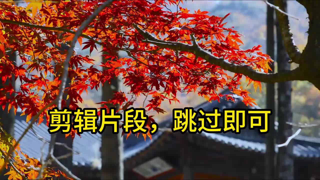 谢谢观看