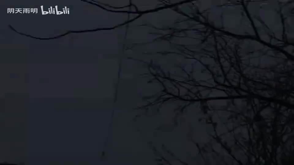 民间小调《好儿不吃分家的饭》02 荆献鼎 荆丽君 田明金 李发东 尹桂廷 曹四臣 孟献礼 秦侠