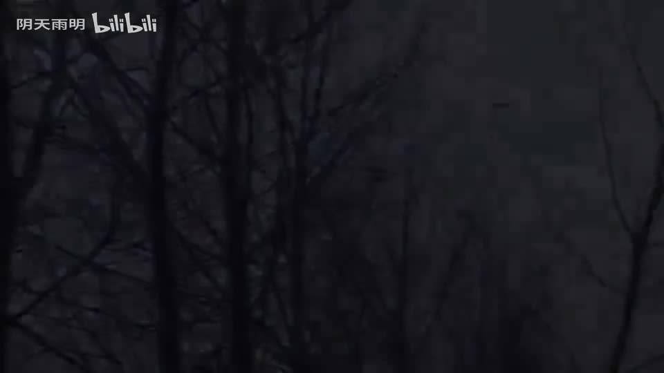 民间小调《好儿不吃分家的饭》03 荆献鼎 荆丽君 田明金 李发东 尹桂廷 曹四臣 孟献礼 秦侠