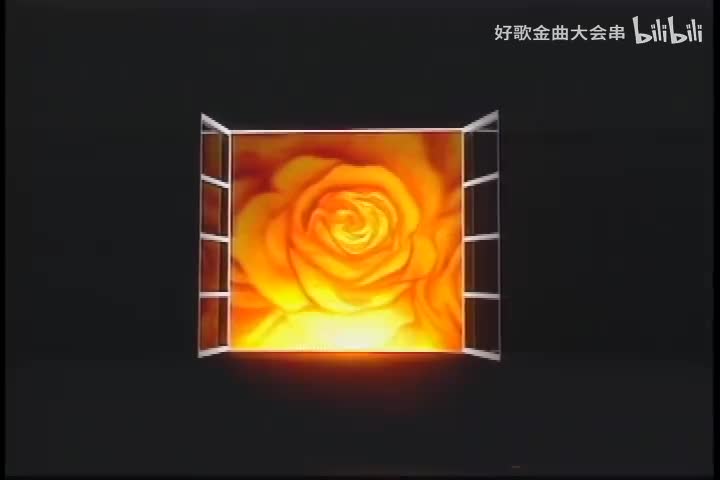 九百九十九朵玫瑰