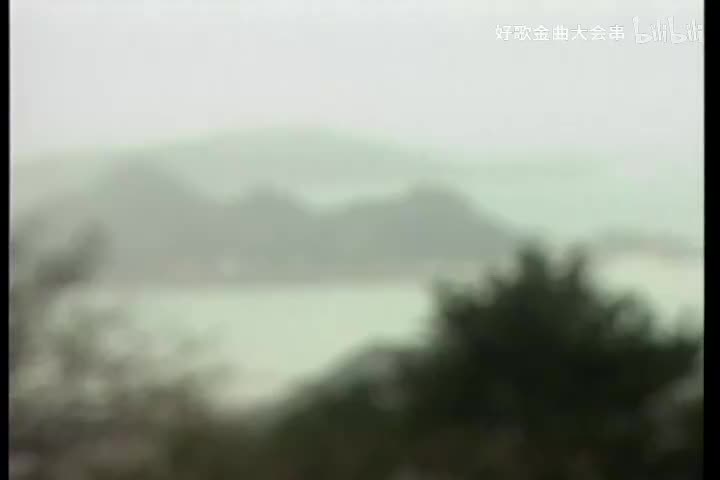 无情的雨无情的你