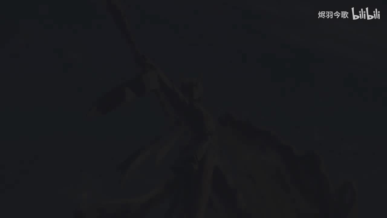 【动画短片】「玄黄」