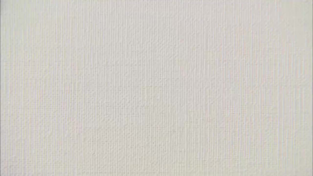 024.这些鞋子你认识吗？