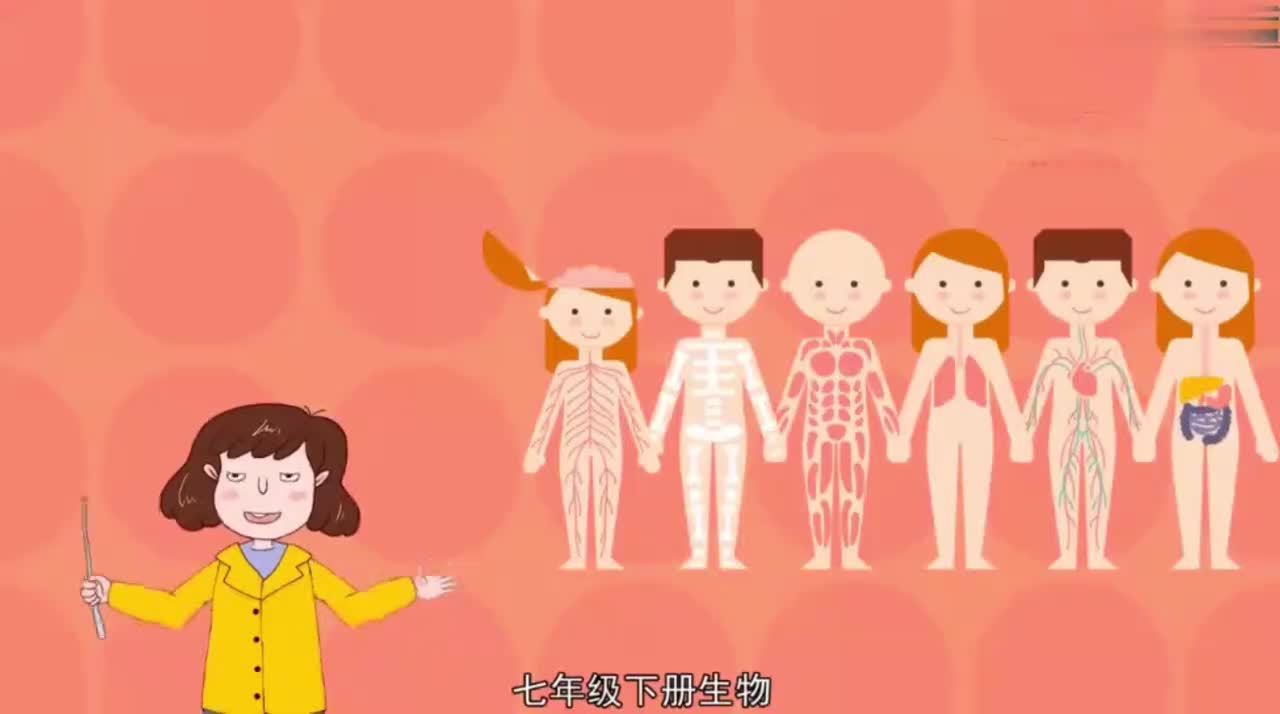 七年级（下）4.1.3青春期