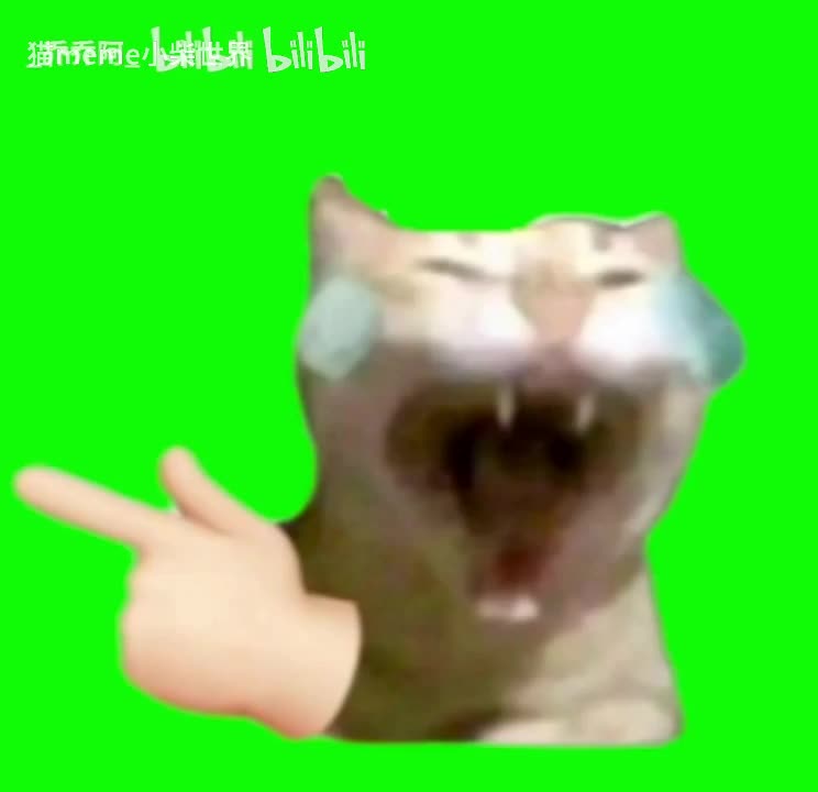 2.癫狂猫（有声）