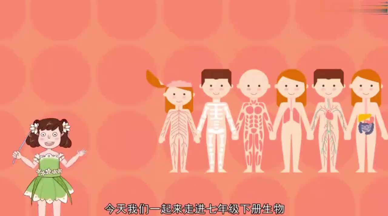 七年级（下）4.3.2发生在肺内的气体交换