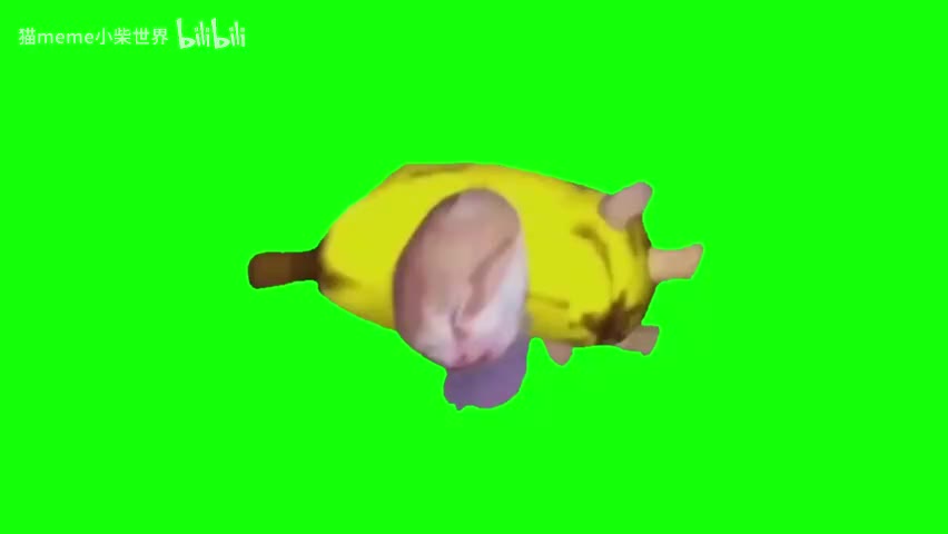 78.sleepy香蕉猫（有声）