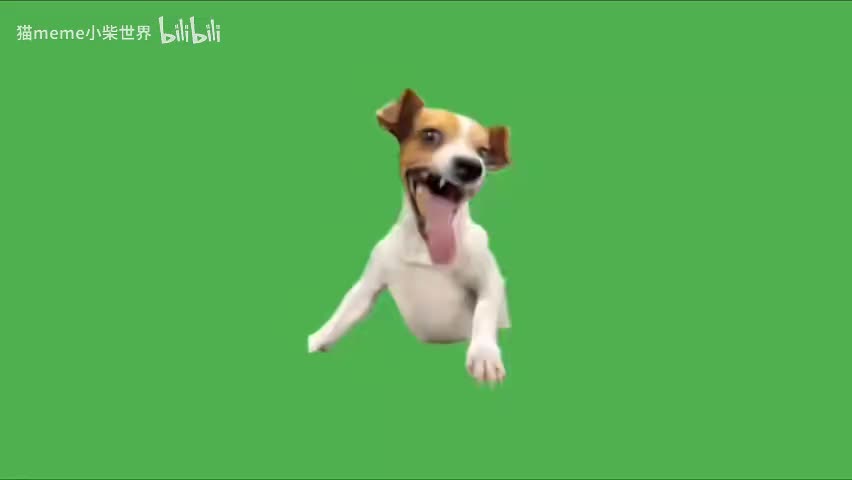 60.哈哈狗（有声）