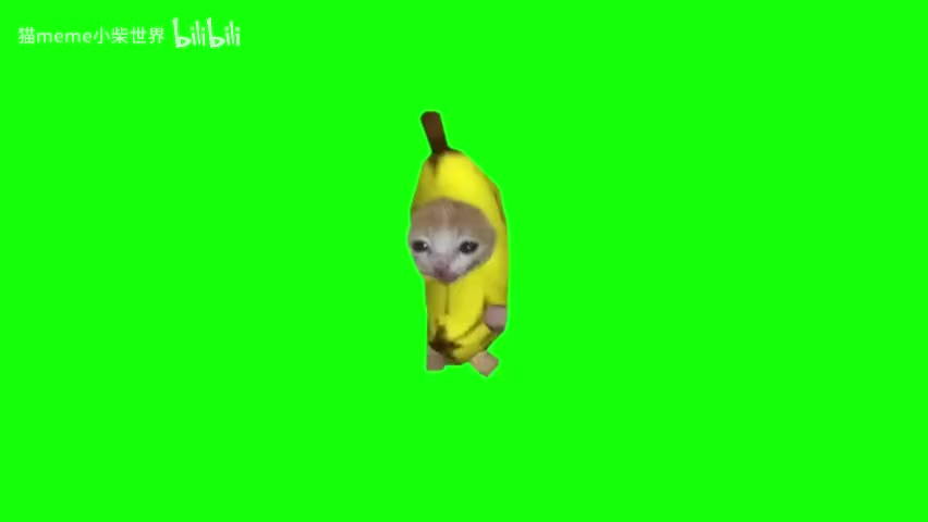 93.香蕉猫跑步（无声）