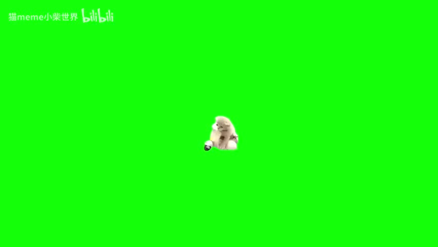 66.摩托车旋转小猫（有声）