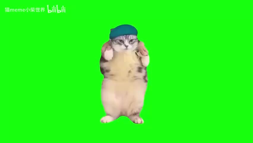 31.劲爆肥猫跳舞（有声）