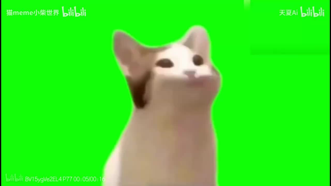 96.POKOTE猫（定格）（他人水印）