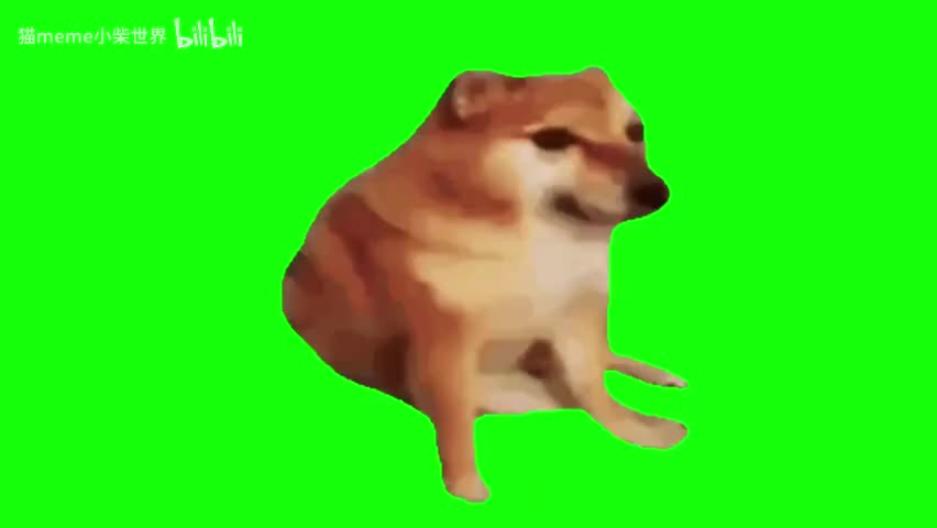 95.敲头cheems（有声）