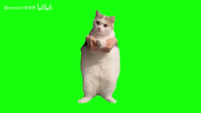 30.动次打次肥猫跳舞（有声）