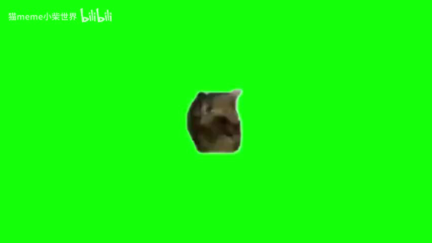 80.oiiaio猫（有声）