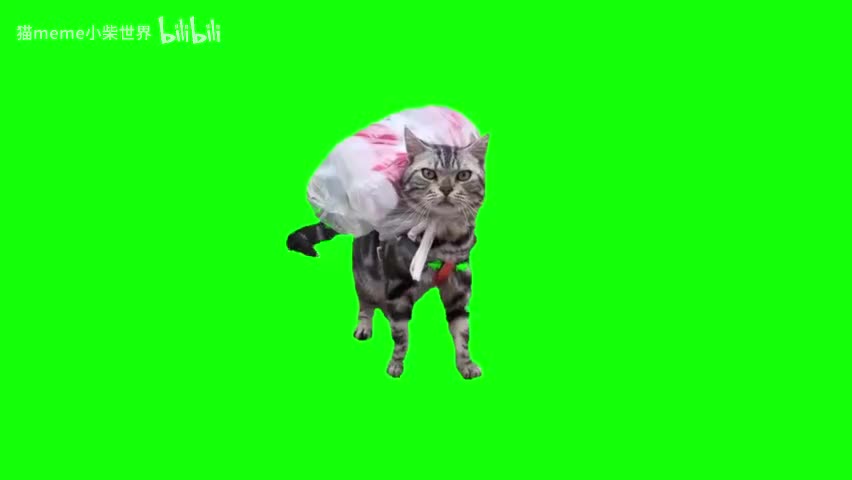 32.背包猫（有声）