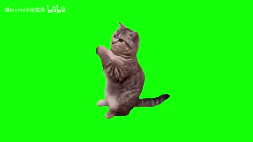 58.拱手猫咪（有声）