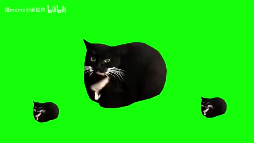 17.三只臭猫（有声）