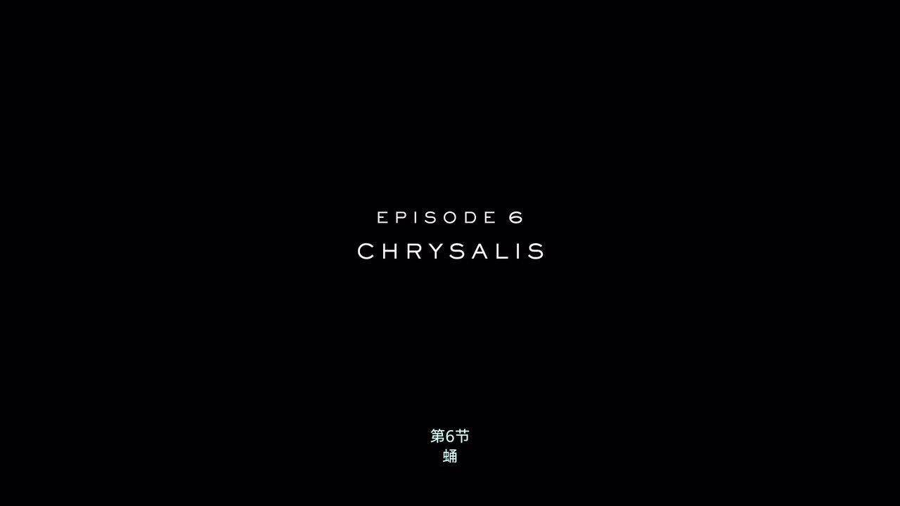 第6节：蛹
