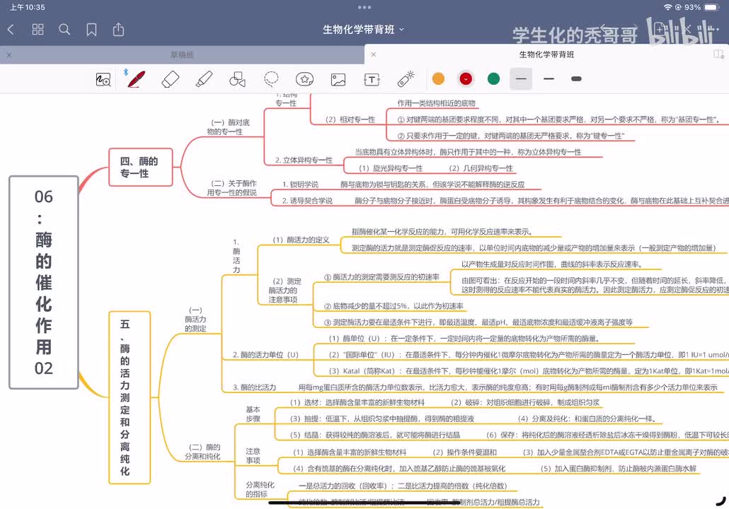 06：酶的催化作用04