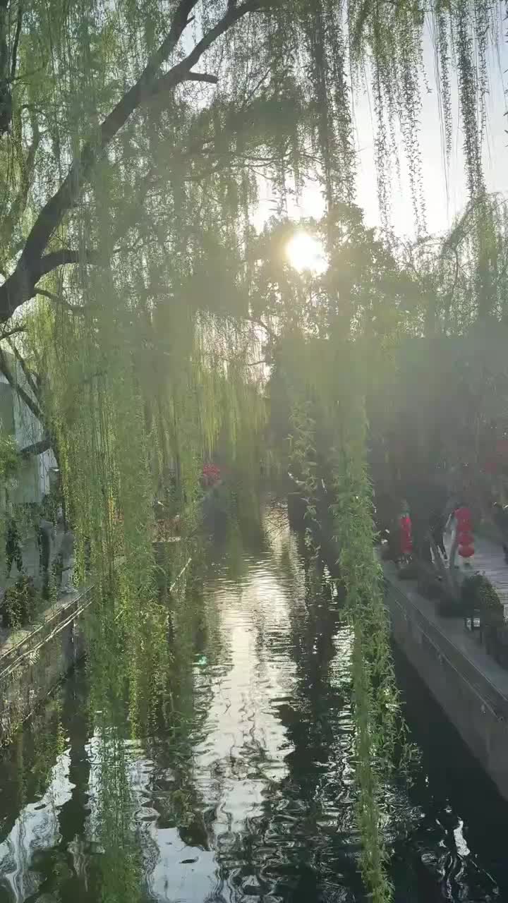 25.4.2 vlog.22☆近期汇报来咯！