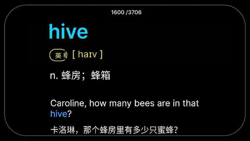 17.第17集(Av113287144408187,P17)