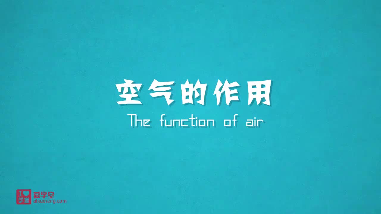 3.空气的作用