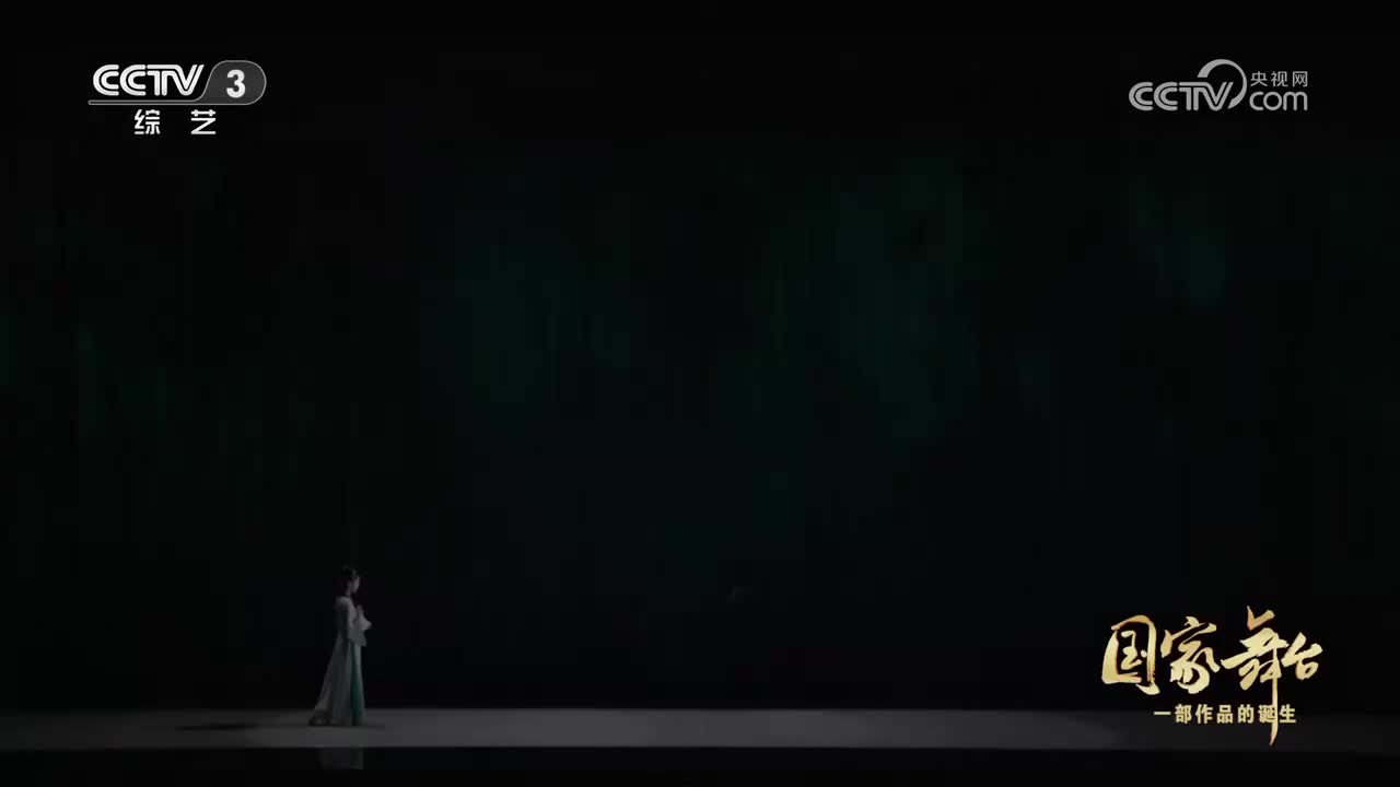 民族舞剧《红楼梦》 第六幕《葬花》选段