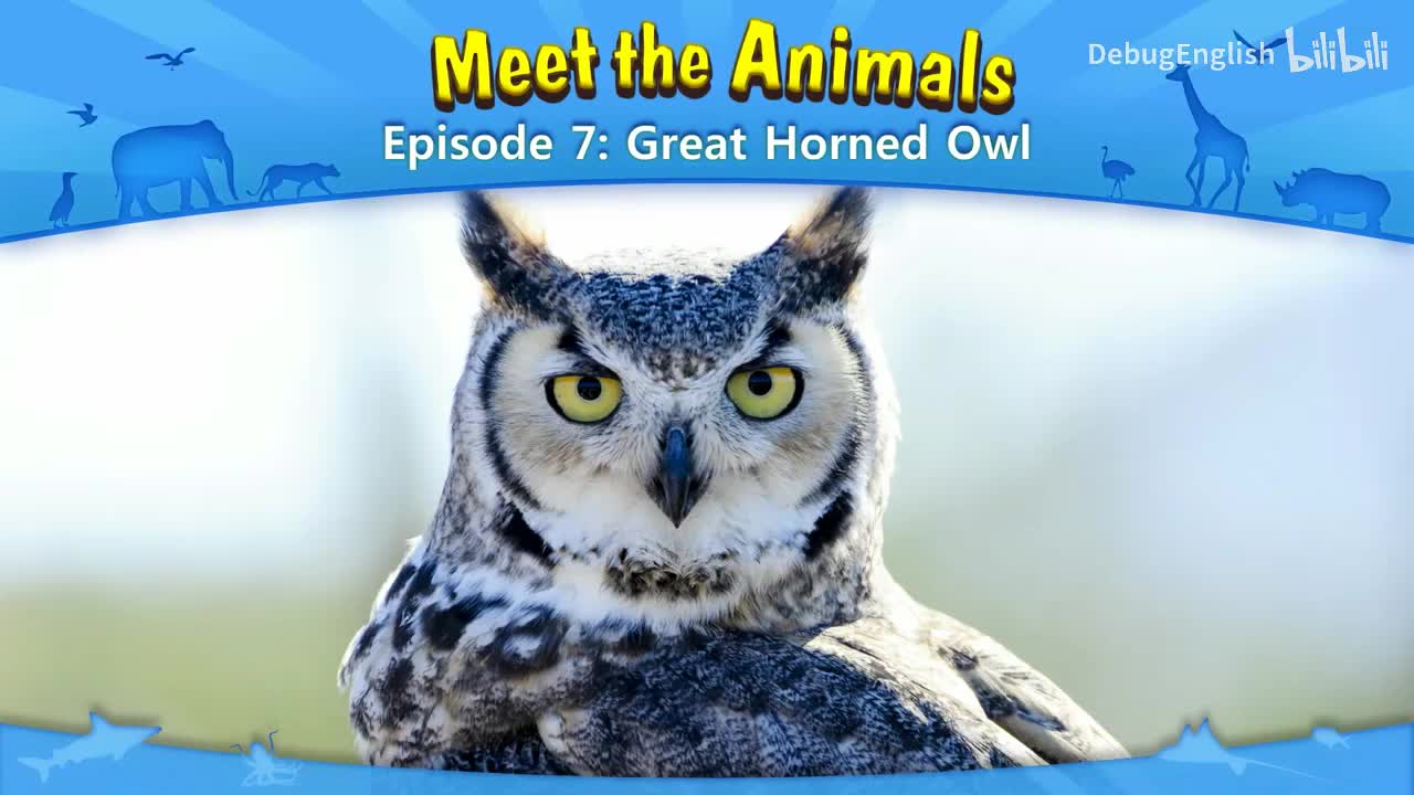 007.Great Horned Owl