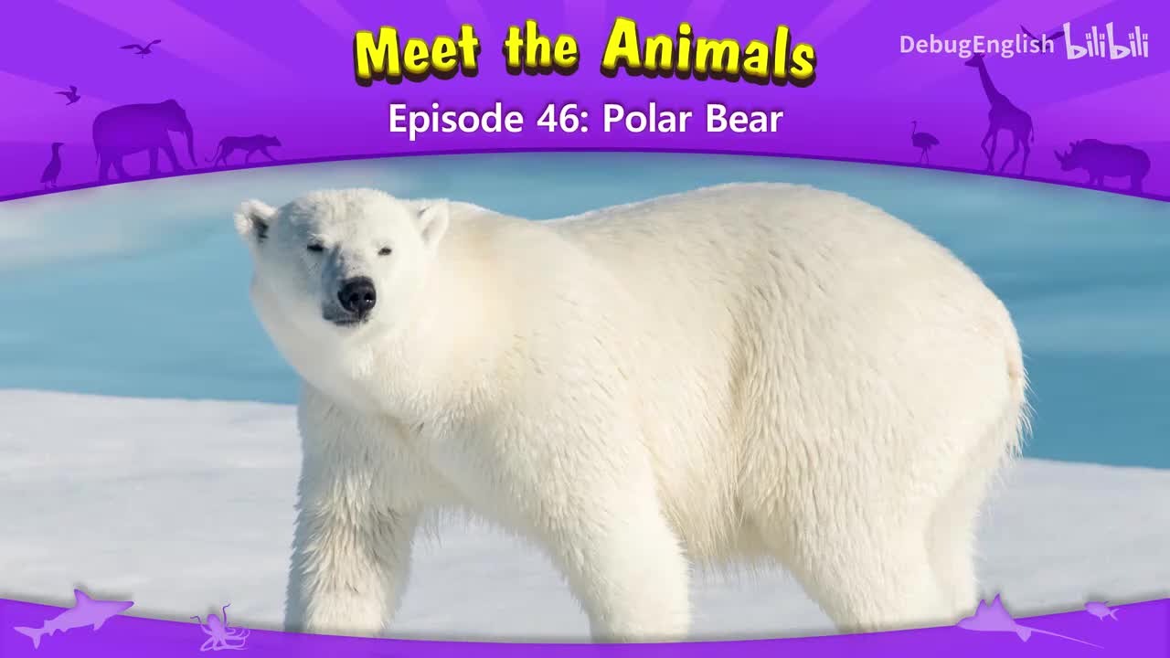 046.Polar Bear.1080p