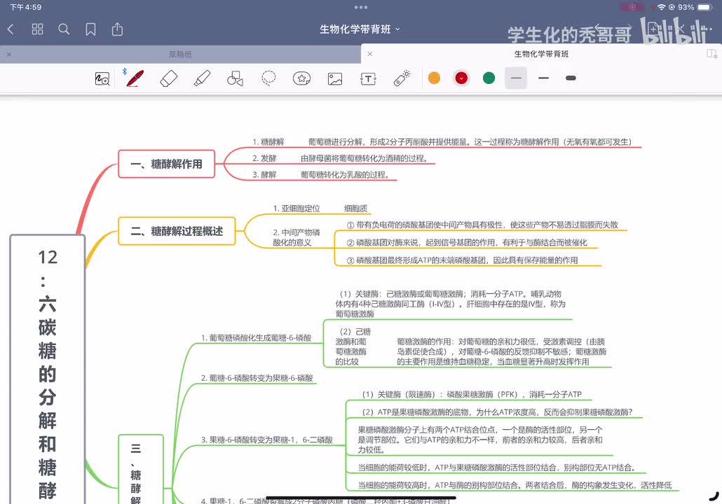 12：六碳糖的分解和糖酵解作用01