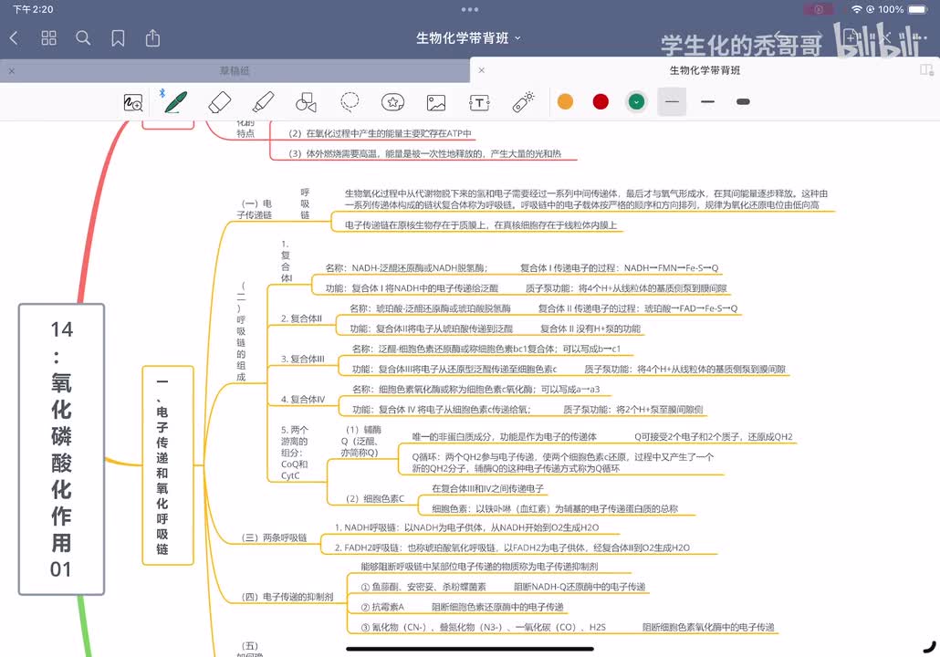 14：氧化磷酸化作用01