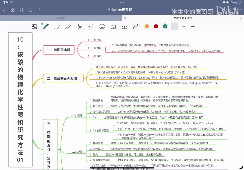 10：核酸的物理化学性质和研究方法01