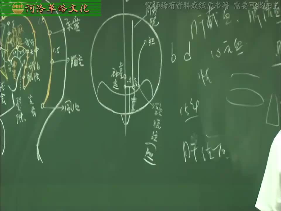 针灸大成06集_18【4.14.足少阳胆经】3颔厌穴与率谷穴
