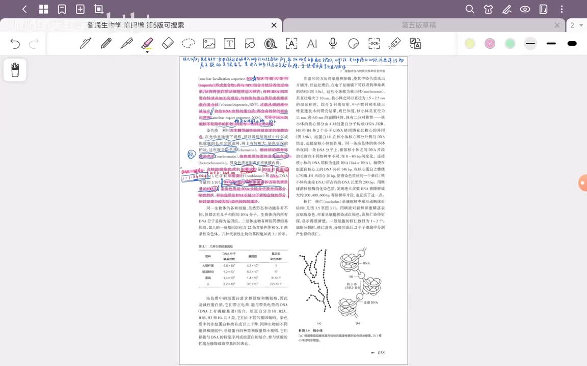 9.第3章 细胞结构与物质交换和信息传递(3)