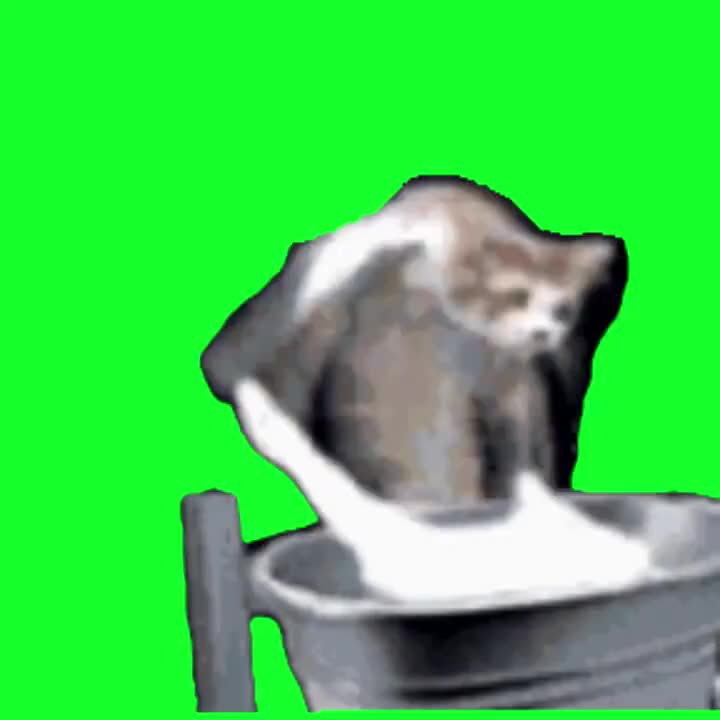 meme常用小曲（小猫洗衣服）