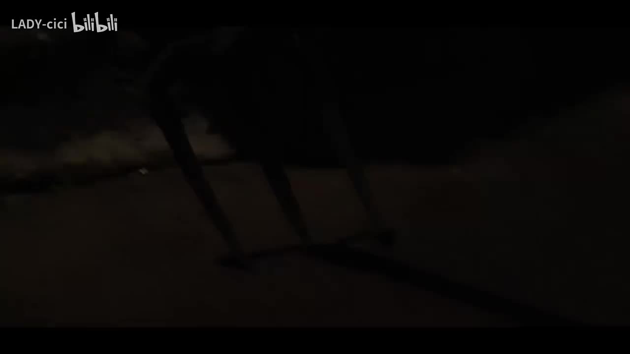 흙심인대호金大浩youtube节目（大浩去种地)