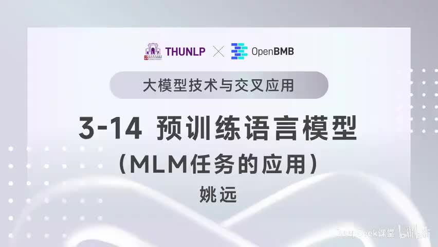 【清华大模型教程】预训练语言模型--MLM任务的应用