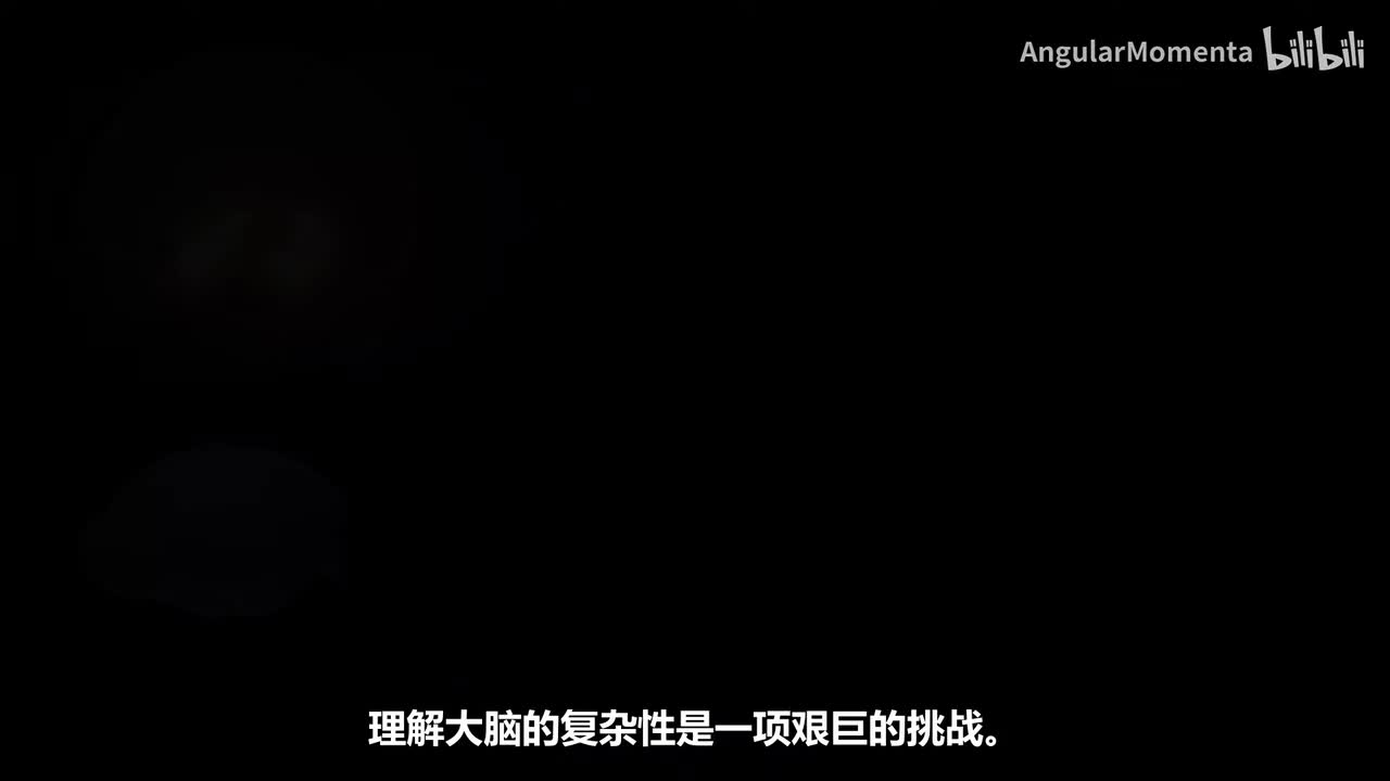 【汉语】09 大脑临界态——优化神经计算