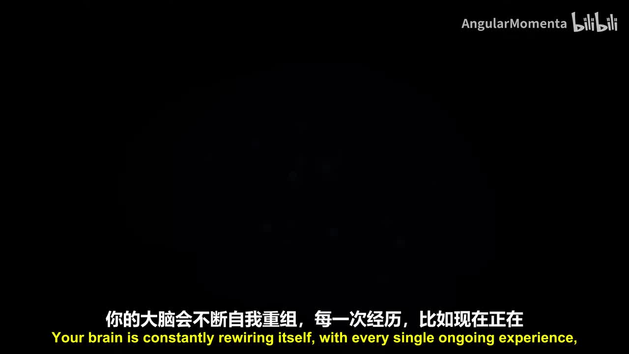 【英语】22 为什么神经元的不同部位学习方式不同？