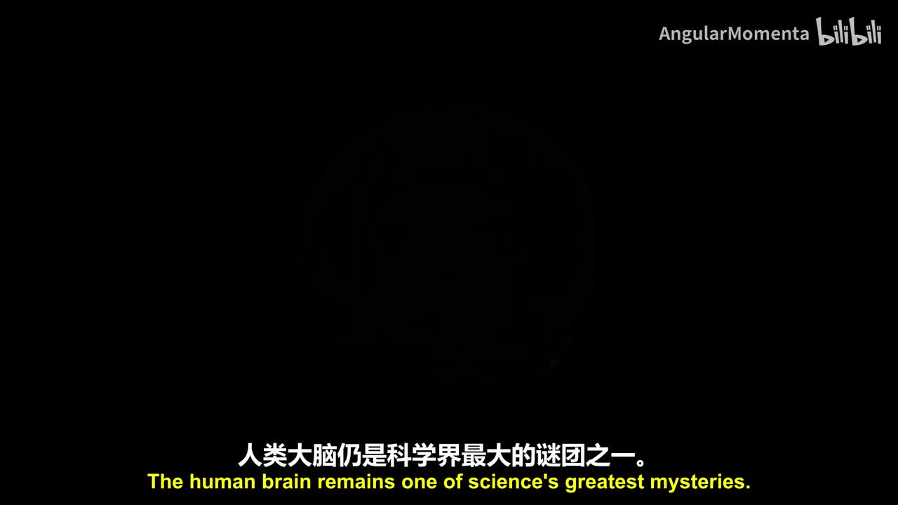 【英语】15 神经科学的核心方程