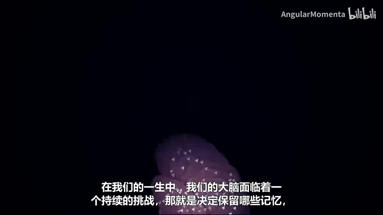【汉语】17 大脑如何选择记住什么