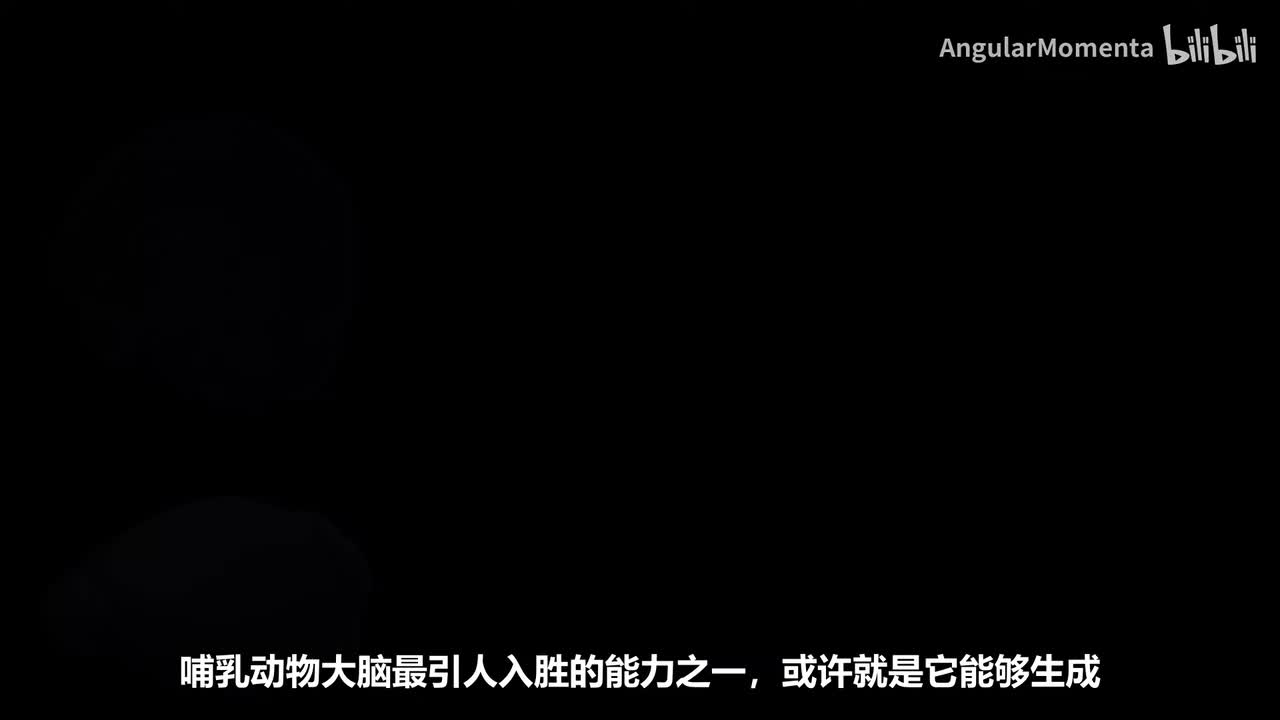 【汉语】10 你的大脑如何组织信息