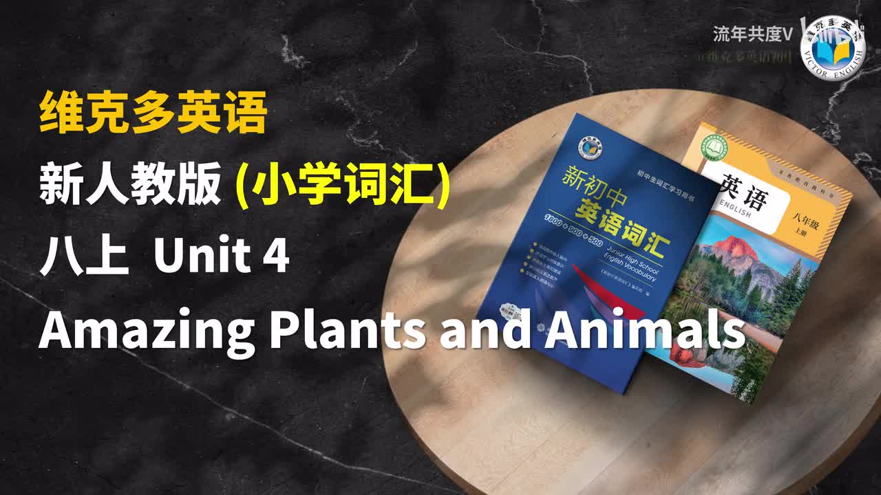 新人教八上 Unit4-小学词汇