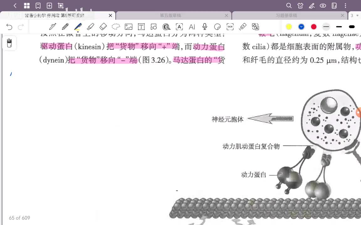 16.第3章 细胞结构与物质交换和信息传递(10)