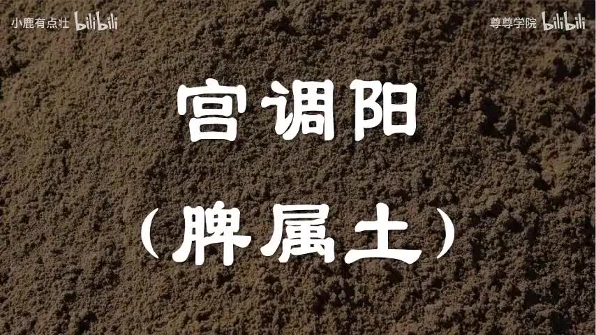 5-宫调阳（脾属土）